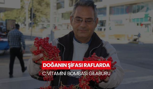 Halk arasında "gençlik iksiri" olarak adlandırılan gilaburu tezgahlarda yerini aldı...