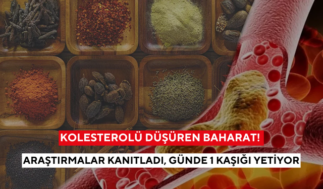 Kolesterolü düşüren mucize baharat: Günde 1 kaşık yeter