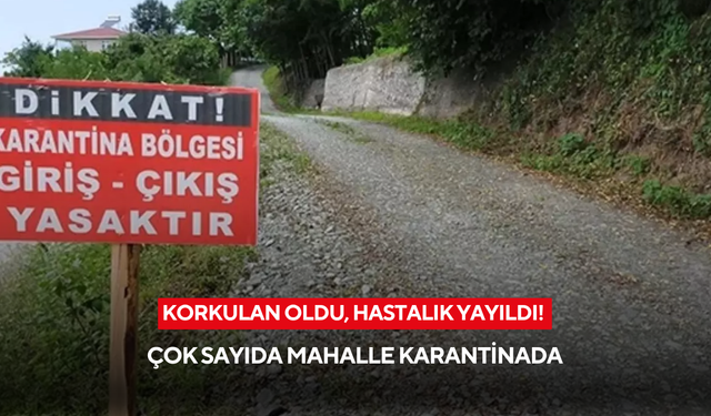 Korkulan oldu, hastalık yayıldı! Çok sayıda mahalle karantinada