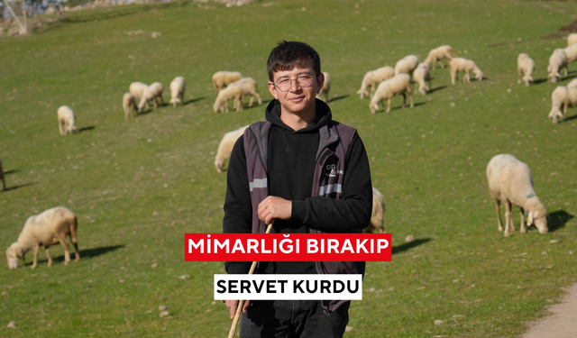 Köye dönen mimarın hikâyesi viral oldu: ‘Hayvancılıkta zarar etmek zor’