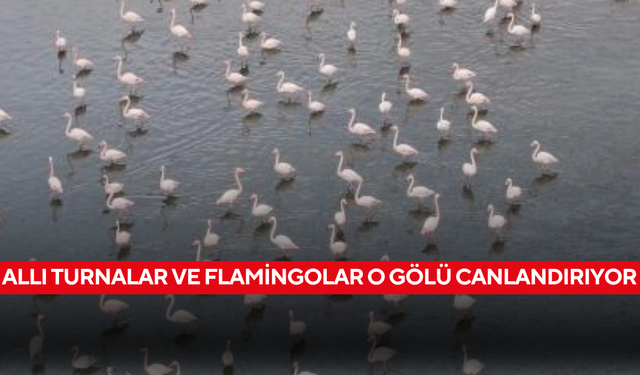 O gölün kıyılarında nefes kesen görüntüler...