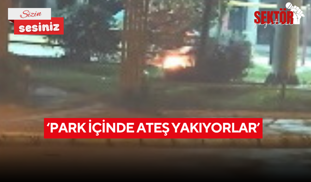 ‘Park içinde ateş yakıyorlar’