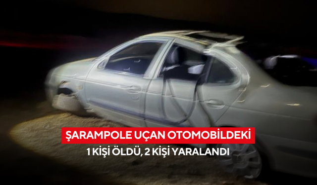 Şarampole uçan otomobildeki 1 kişi öldü, 2 kişi yaralandı