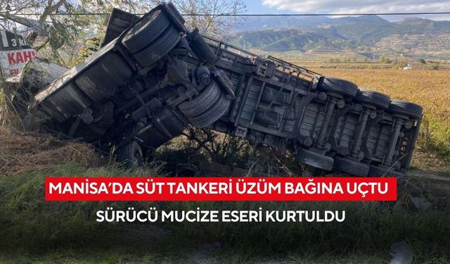 Salihli-Denizli yolunda süt tankeri üzüm bağına uçtu: Sürücü mucize eseri kurtuldu