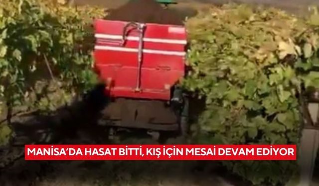 Manisa’da hasat bitti, kış için mesai devam ediyor
