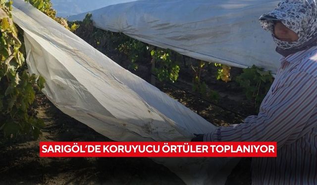 Sarıgöl’de koruyucu örtüler toplanıyor