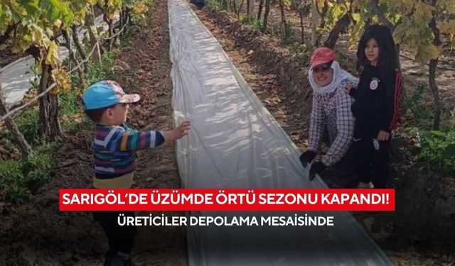 Sarıgöl’de üzümde örtü sezonu kapandı! Üreticiler depolama mesaisinde