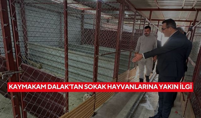 Sarıgöl’de sokak hayvanları için daha iyi şartlar hedefleniyor