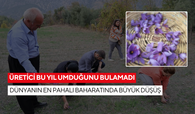 Üretim azaldı, fiyat uçtu! Dünyanın en pahalı baharatında büyük düşüş...