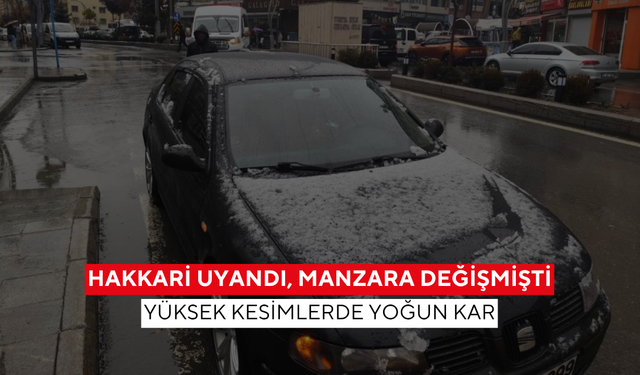 Hakkari uyandı, manzara değişmişti... Yüksek kesimlerde yoğun kar!