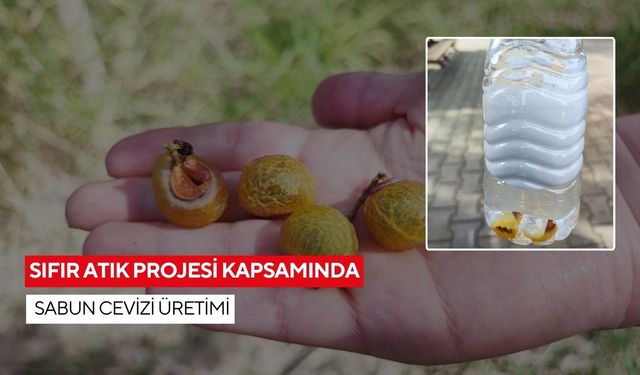 Sıfır atık projesi kapsamında sabun cevizi üretimi