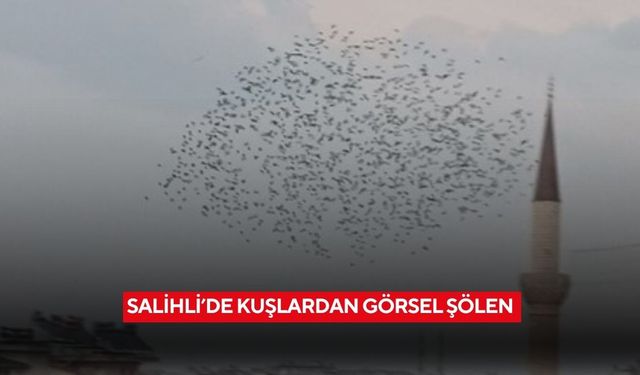 Salihli’de kuşlardan görsel şölen