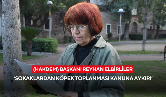 Elbirliler ‘Sokaklardan köpek toplanması kanuna aykırı’