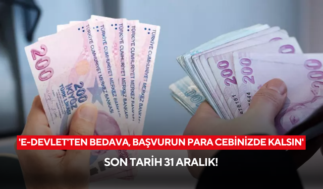 Son tarih 31 Aralık! e-Devlet’ten başvuru yapanlar yeni yılda kazanç sağlayacak