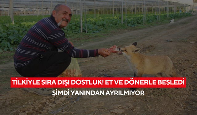 Tilkiyle sıra dışı dostluk: Et ve dönerle besledi, şimdi yanından ayrılmıyor! | 'Bir ay mangal partisi yaptım!'