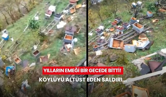 Yılların emeği bir gecede bitti! Köylüyü altüst eden saldırı...