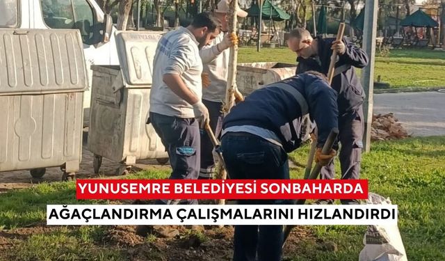 Yunusemre Belediyesi sonbaharda ağaçlandırma çalışmalarını hızlandırdı