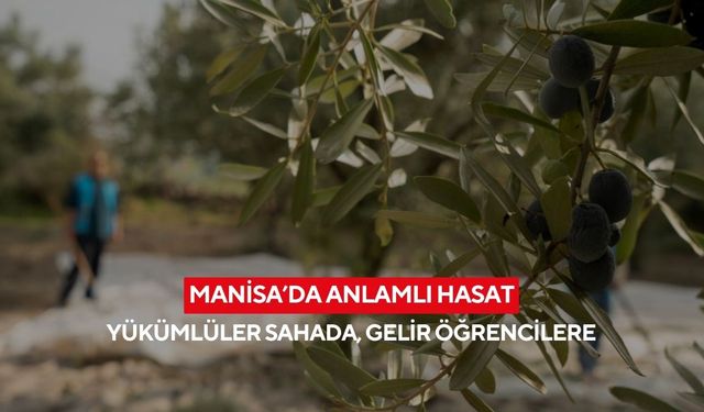 Zeytin bahçesinde büyük buluşma... Toplanan her tane eğitime!