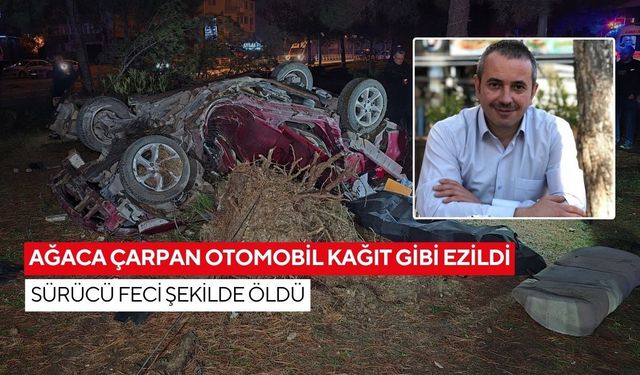 Ağaca çarpan otomobil kağıt gibi ezildi: Sürücü feci şekilde öldü