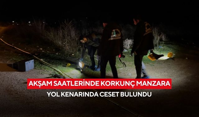Akşam saatlerinde korkunç manzara: Yol kenarında ceset bulundu