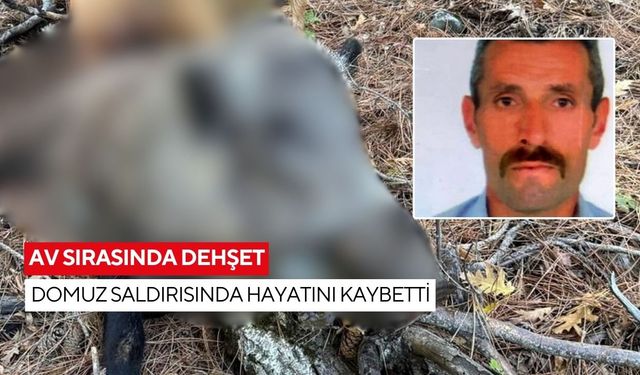 Av sırasında dehşet: Domuz saldırısında hayatını kaybetti