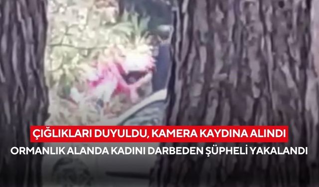Çığlıkları duyuldu, kamera kaydına alındı: Kadının feryadı sosyal medyayı ayağa kaldırdı