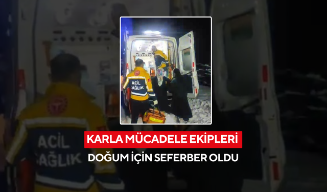 Karla Mücadele Ekipleri Doğum İçin Seferber Oldu