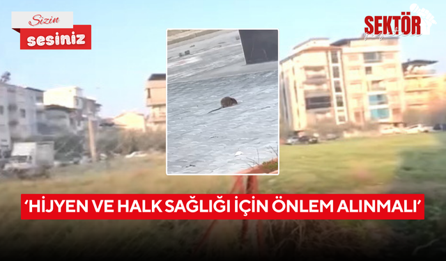 ‘Hijyen ve halk sağlığı için önlem alınmalı’
