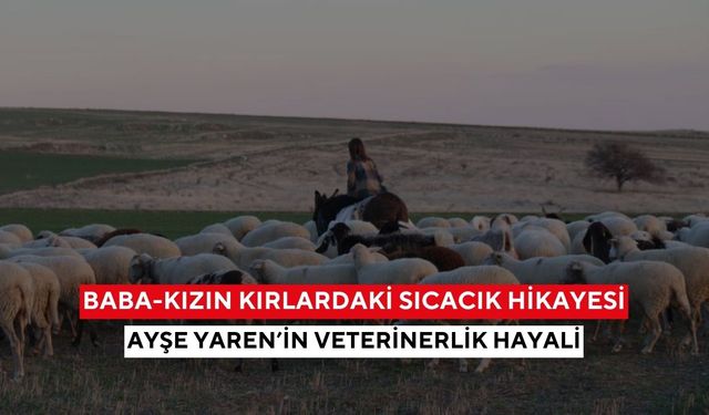 Hayvan sevgisiyle büyüyen minik çoban... Ayşe Yaren’in yüreklere dokunan mücadelesi