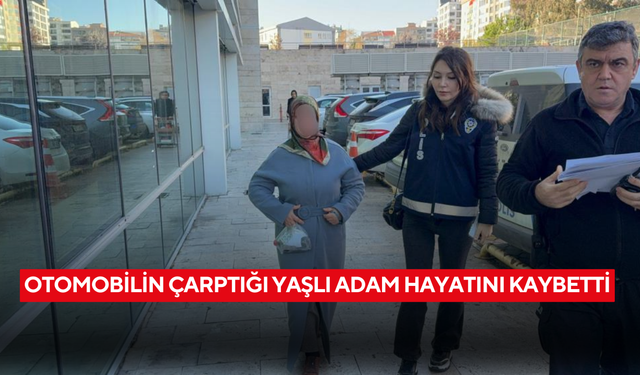 Otomobilin çarptığı yaşlı adam hayatını kaybetti