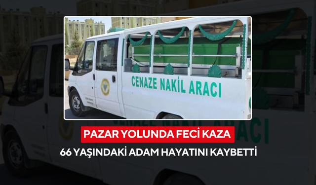 Pazar alışverişine giden yaşlı adam, kamyon çarpması sonucu hayatını kaybetti