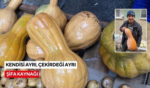 Kendisi ayrı, çekirdeği ayrı şifa kaynağı