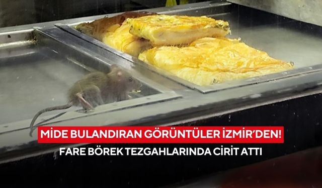 Mide bulandıran görüntüler İzmir’den! Böreklerin üzerinde fare gezdi
