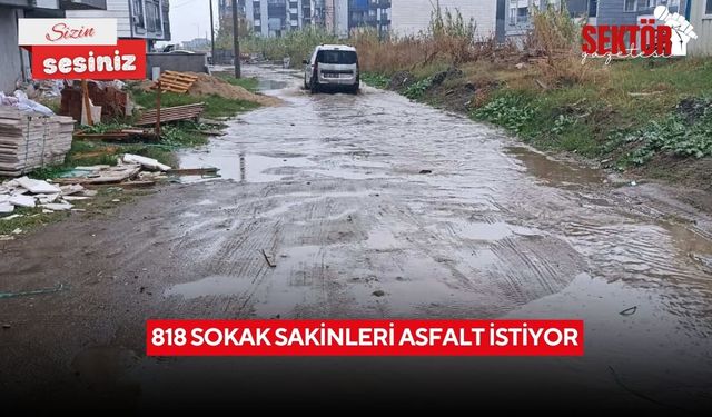 818 sokak sakinleri asfalt istiyor