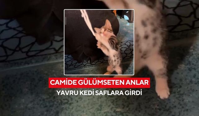 Saflara giren yavru kedi, tespihleri oyuncak yaptı...