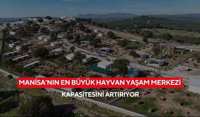 Sahipsiz hayvanlara modern yuva! Yunusemre hayvan yaşam merkezi kapasitesini artırıyor