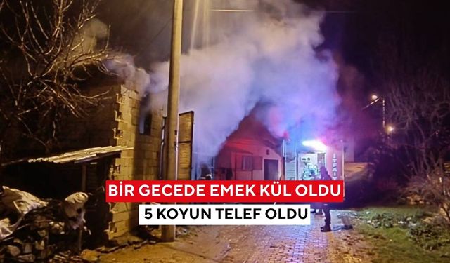 Samanlık alev alev yandı, 5 koyun telef olurken çaresizce izledi...
