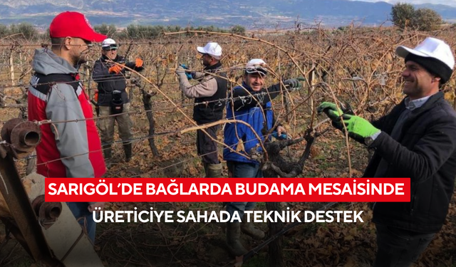 Sarıgöl’de bağlarda budama mesaisinde üreticiye sahada teknik destek