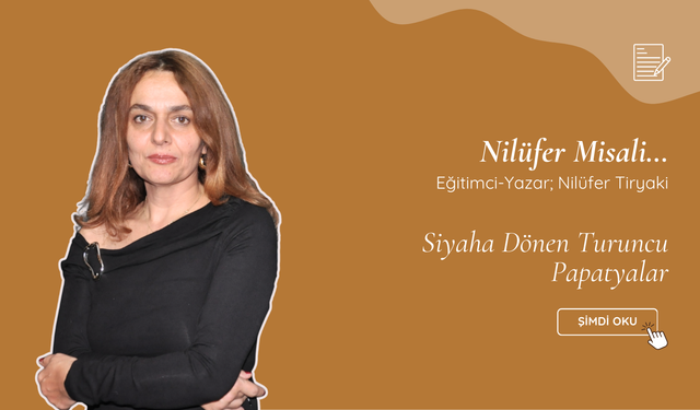 Siyaha Dönen Turuncu Papatyalar