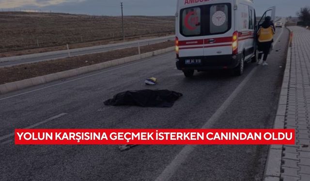 Yolun karşısına geçmek isterken canından oldu...