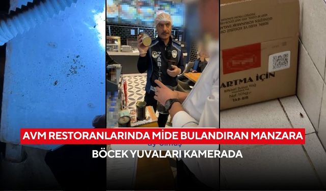 AVM restoranlarında mide bulandıran manzara: Böcek yuvaları kamerada