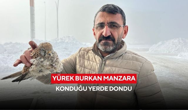 Eksi dereceler can aldı: Yakıt pompası üzerinde donmuş kuş bulundu