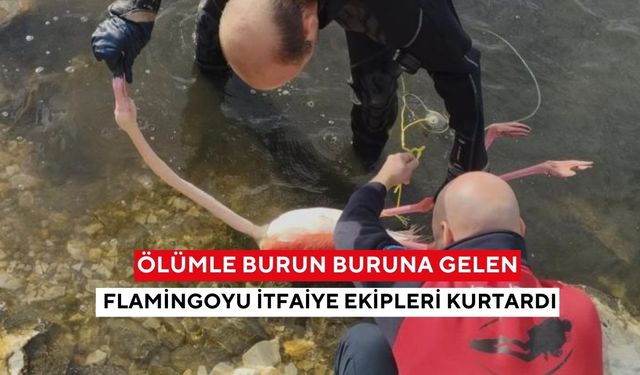 Ölümle burun buruna gelen flamingoyu itfaiye ekipleri kurtardı