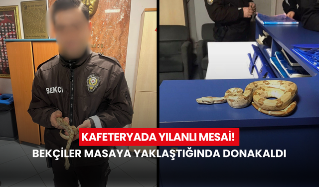 Kafede yılanla dolaşmanın bedeli ağır oldu