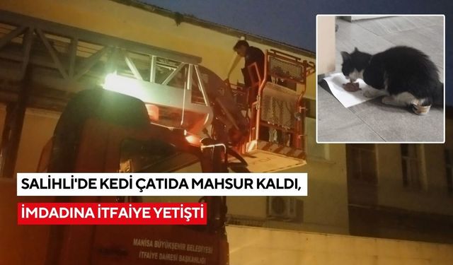 Salihli'de çatıda mahsur kalan kedi kurtarıldı