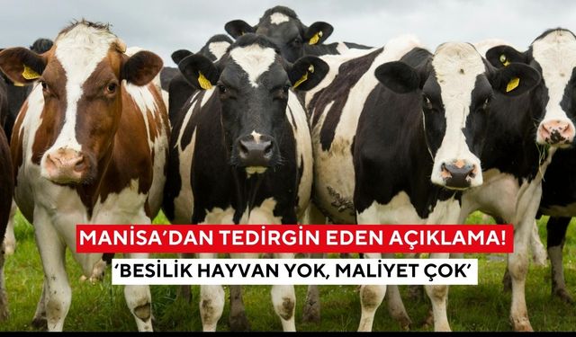 Manisa’dan tedirgin eden açıklama! ‘Besilik hayvan yok, maliyet çok’ Ette yeni artışlar kapıda