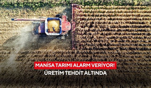 Manisa tarımı alarm veriyor! Üretim tehdit altında
