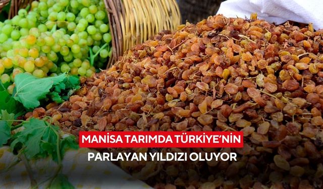 Manisa tarımda Türkiye’nin parlayan yıldızı oluyor