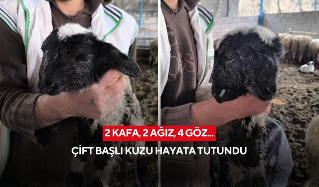 Sahibi o anları anlattı: "İlk gördüğümde şoke oldum ama durumu gayet iyi"