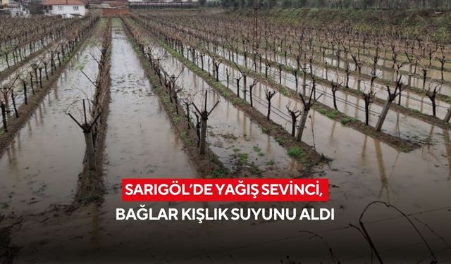 Sarıgöl’de yağış sevinci, bağlar kışlık suyunu aldı